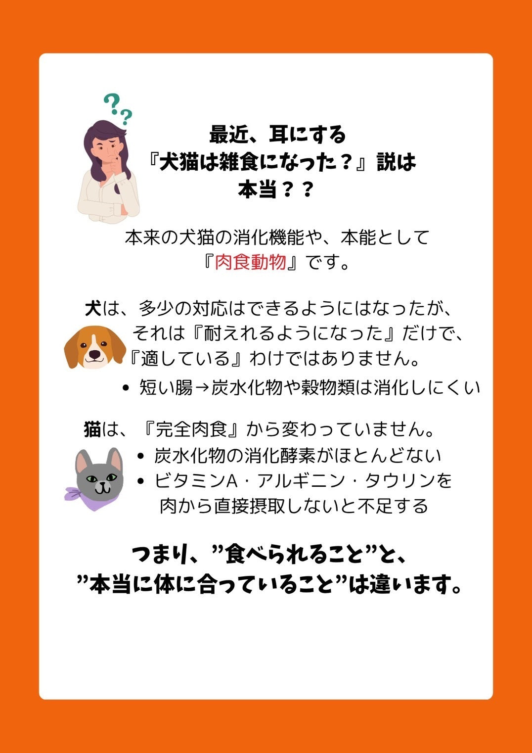 純熊本産馬肉 アキレス 100g