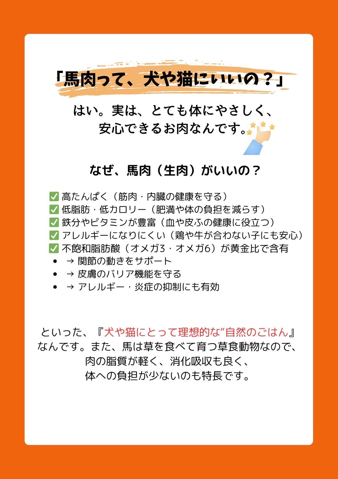 純熊本産馬肉 100g