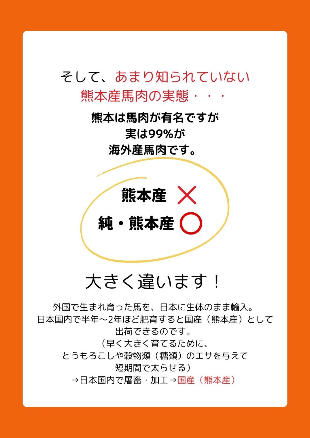 純熊本産馬肉 100g