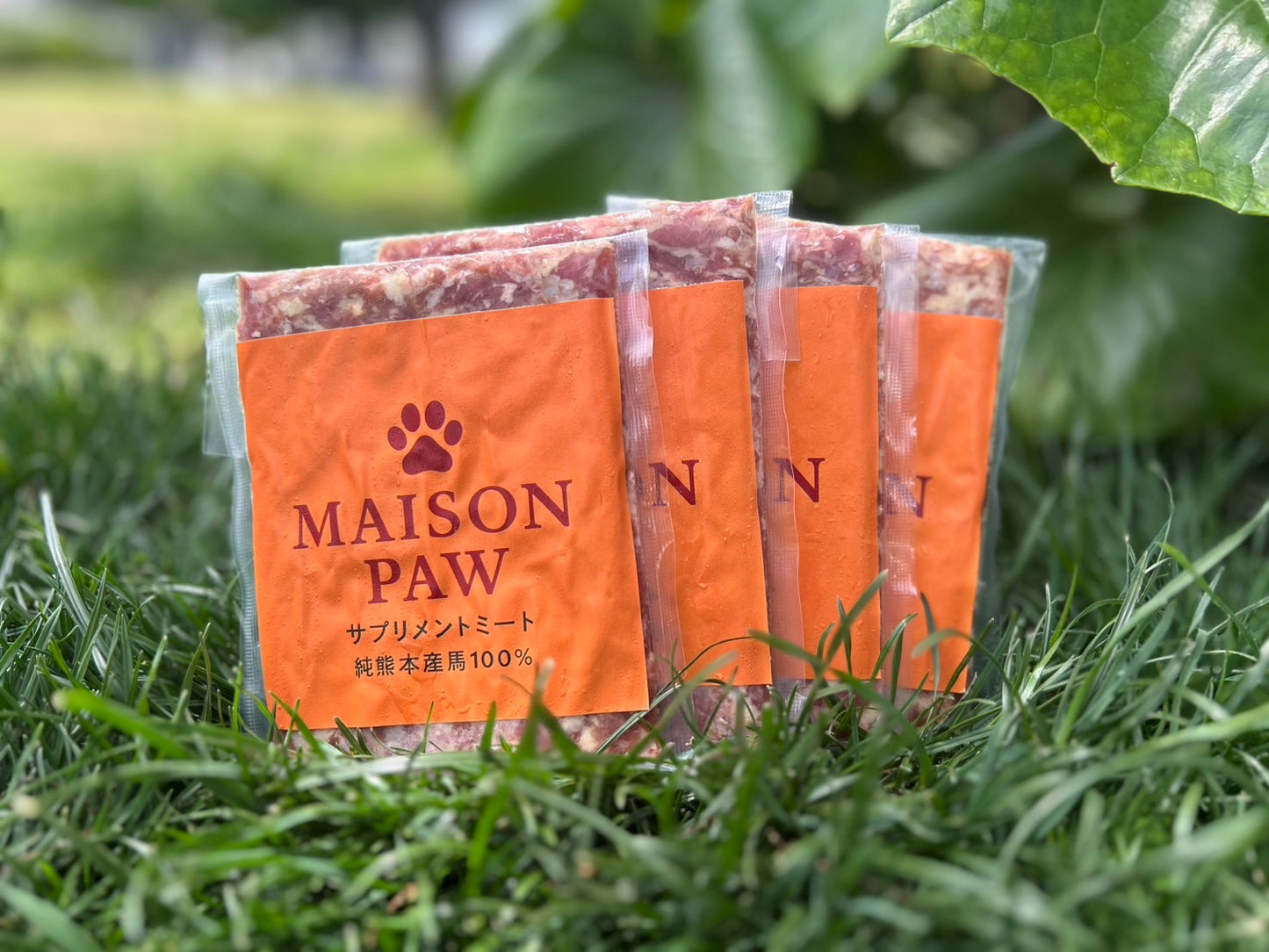 純熊本産馬肉 100g×4（定期購入初回30%OFF, 2回目以降15%OFF）